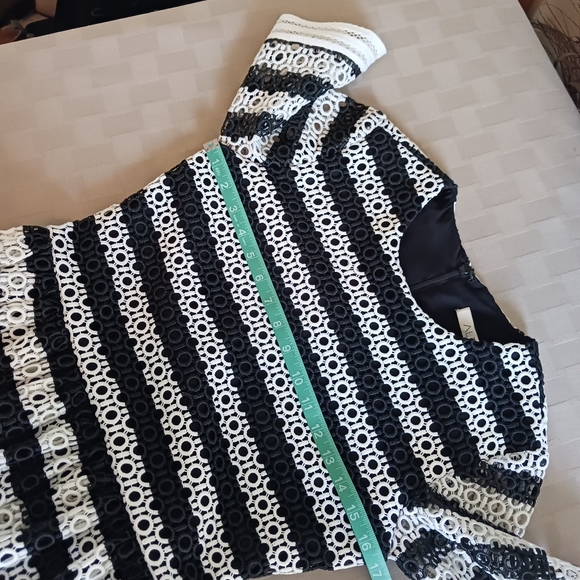 Alexis Amir Striped Crochet Pleated Dress - Picture 13 of 15